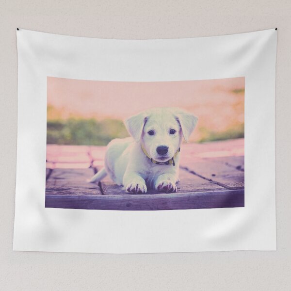 Item preview, abundancemind, little puppy, 432553, young dog, abundance, sea of abundance designed and sold by AbundanceMind.