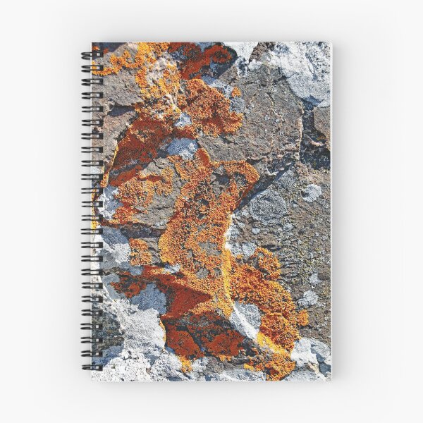 Item preview, Orange Lichen designed and sold by Debbie Oppermann.