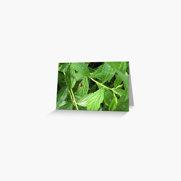Cling Greeting Card