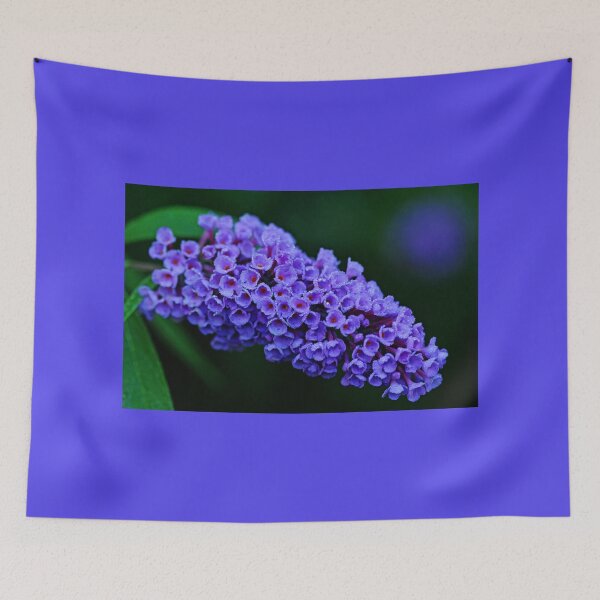 Item preview, Dew Kissed Buddleia designed and sold by Debbie Oppermann.