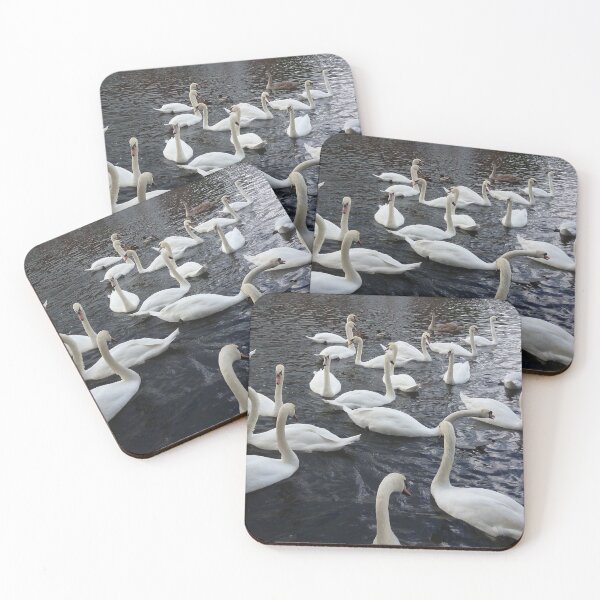 Item preview, Socially distancing white swans on dark water. designed and sold by claireseyeview.