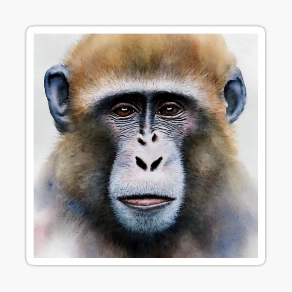 Item preview, Monkey highly detailed watercolor painting designed and sold by DrawItOnce.