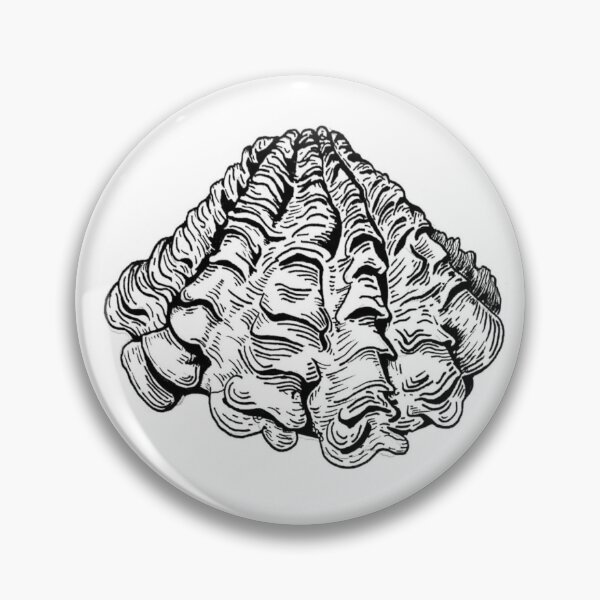 Item preview, Mollusk Shell designed and sold by aydengrm.