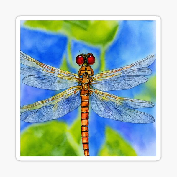 Item preview, Dragonfly highly detailed watercolor painting designed and sold by DrawItOnce.