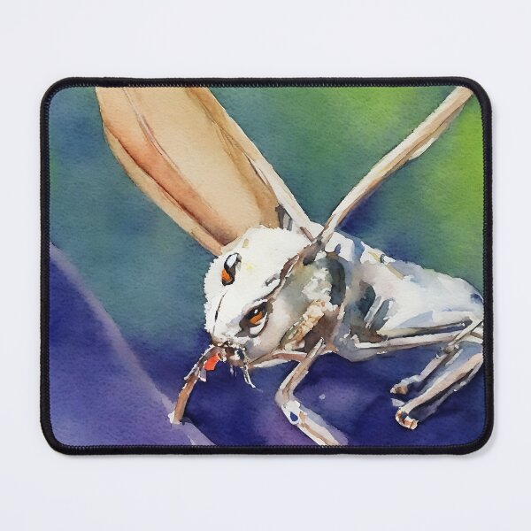 Artikelvorschau, Cricket highly detailed watercolor painting entworfen und verkauft von DrawItOnce.