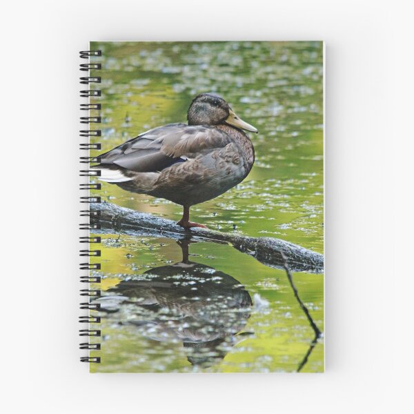 Item preview, Balance designed and sold by Debbie Oppermann.