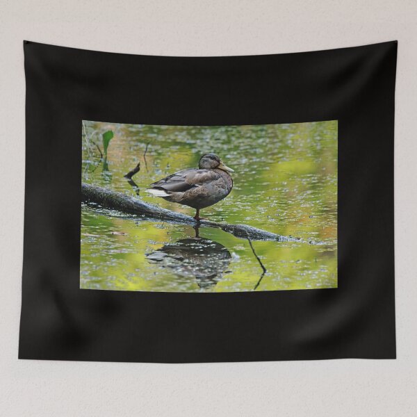 Item preview, Balance designed and sold by Debbie Oppermann.