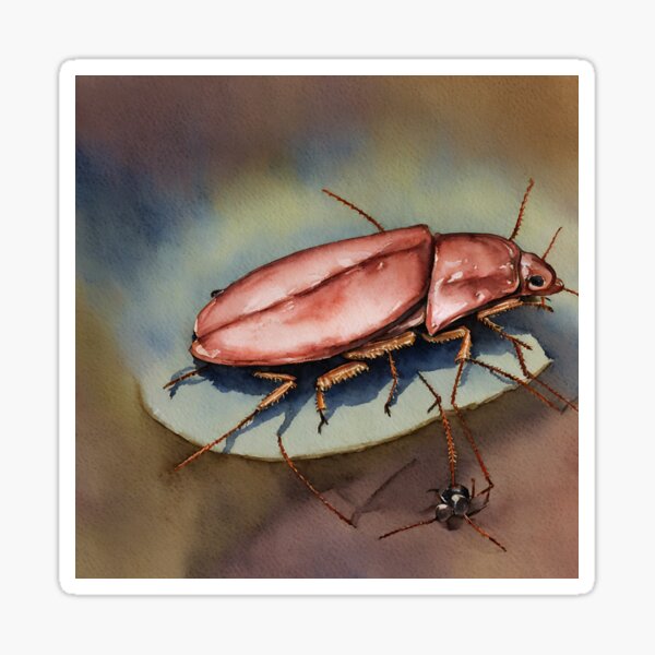 Item preview, Cockroach highly detailed watercolor painting designed and sold by DrawItOnce.