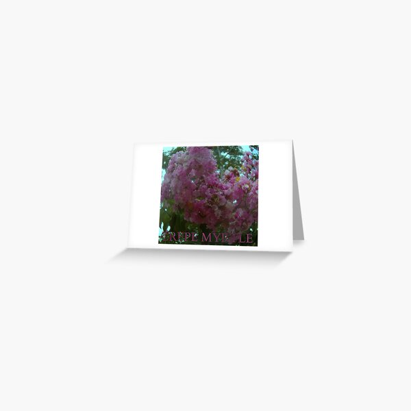 Vista previa del artículo con la obra «CREPE MYRTLE», diseñado y vendido por DMEIERS.