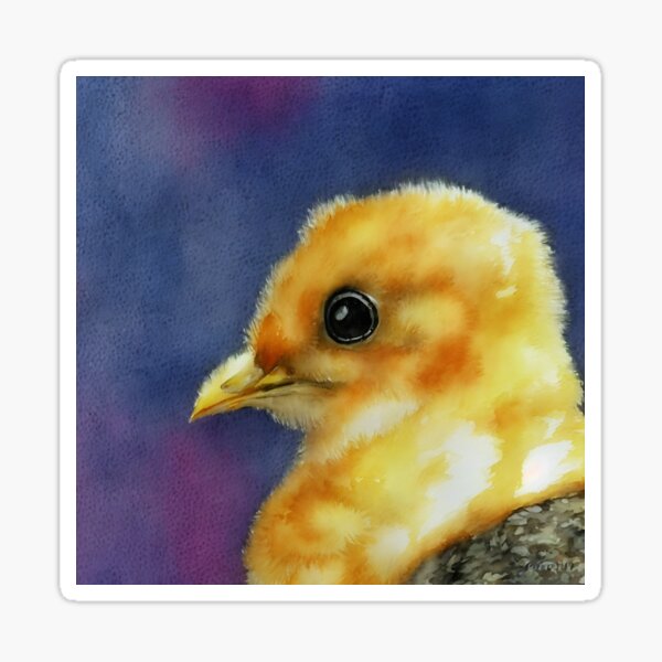 Item preview, Chick highly detailed watercolor painting designed and sold by DrawItOnce.