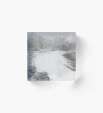Let it snow, let it snow, let it snow ! Acrylic Block