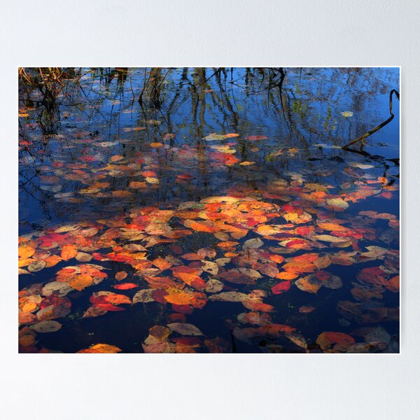Item preview, Floating Leaves designed and sold by Art Monkey Studio.