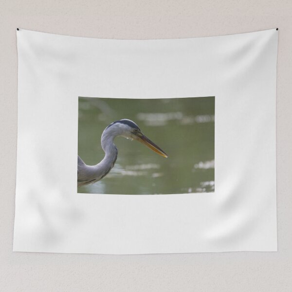 Item preview, Grey heron designed and sold by pietrofoto.