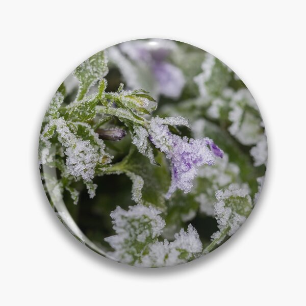 Item preview, Frosty Campanula designed and sold by Tanya C  Smith.