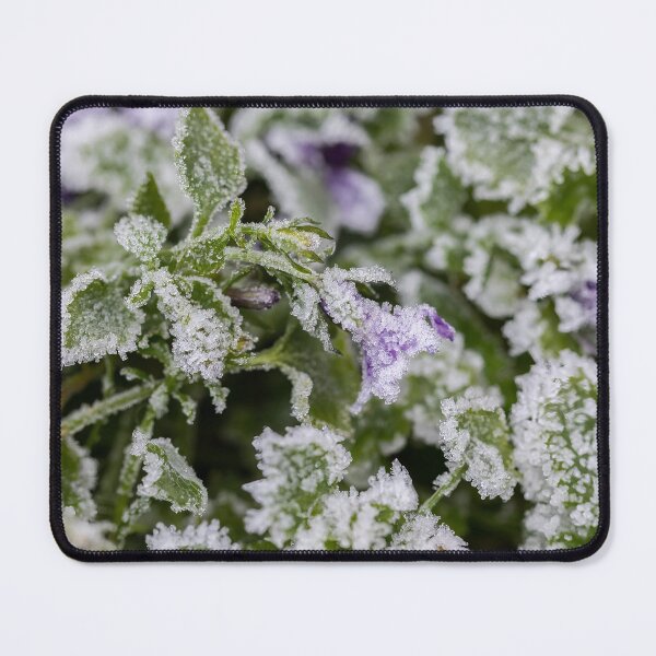 Item preview, Frosty Campanula designed and sold by Tanya C  Smith.