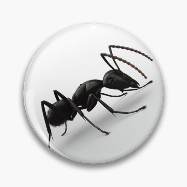 Item preview, Black ant designed and sold by madamhind.