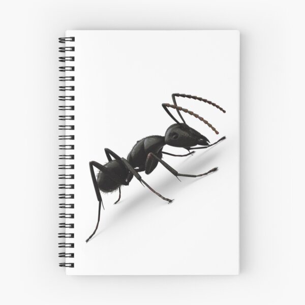 Item preview, Black ant designed and sold by madamhind.
