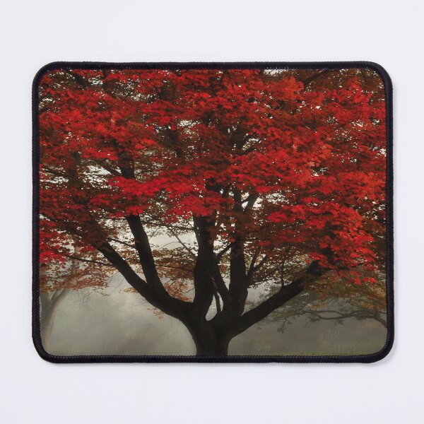 Item preview, Morning Rays in the Forest designed and sold by loggeron30.