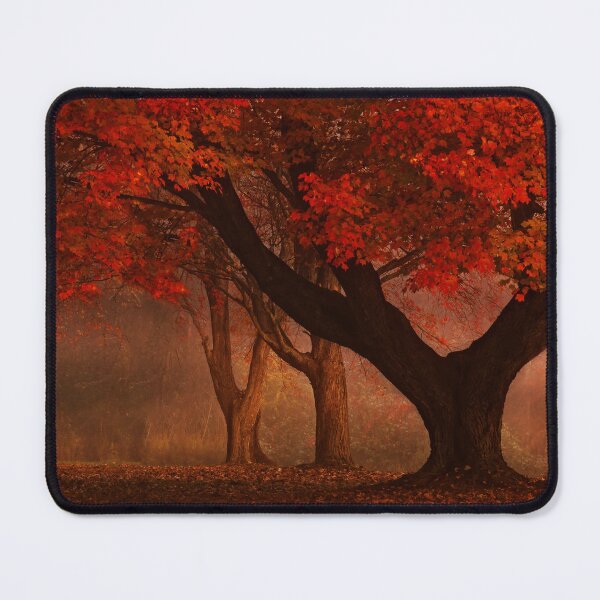 Item preview, Enchanted Forest designed and sold by loggeron30.