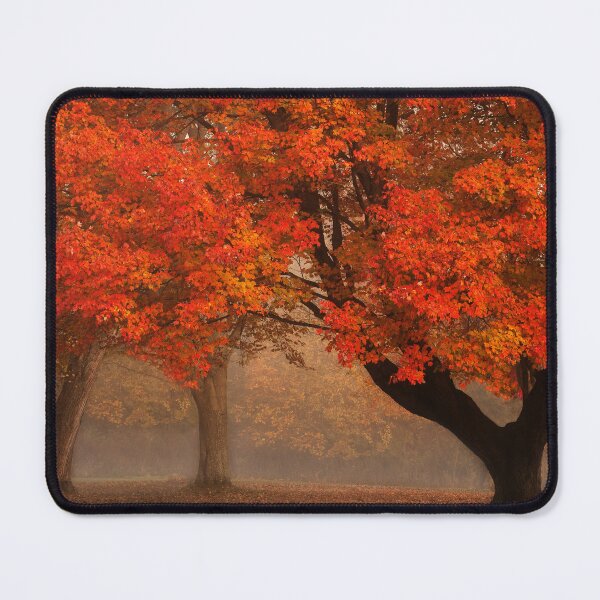 Item preview, Maple Magic designed and sold by loggeron30.