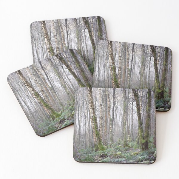 Item preview, Birch Trees at Gilfach Nature Reserve, Rhayader designed and sold by lewisjevons.