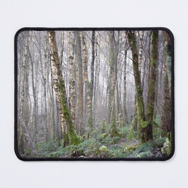 Item preview, Birch Trees at Gilfach Nature Reserve, Rhayader designed and sold by lewisjevons.