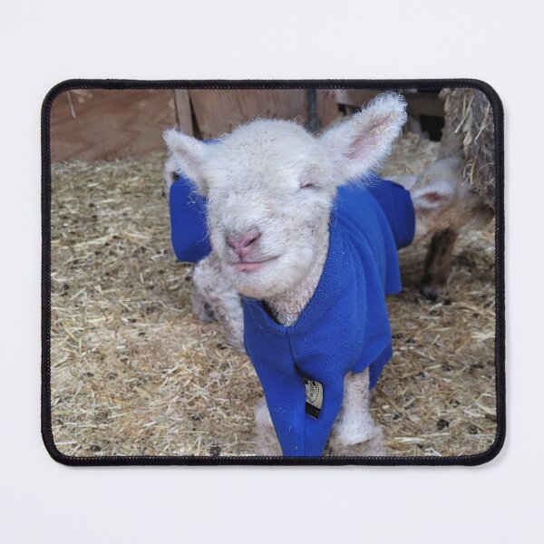 Item preview, Happy lamb designed and sold by T3artstudio.