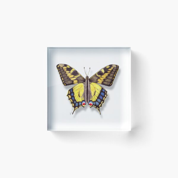 Item preview, Papilio designed and sold by Ansalart.