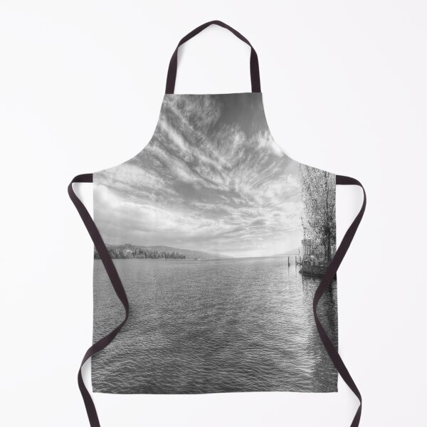 Item preview, Lake Zurich Monochrome designed and sold by Londonimages.