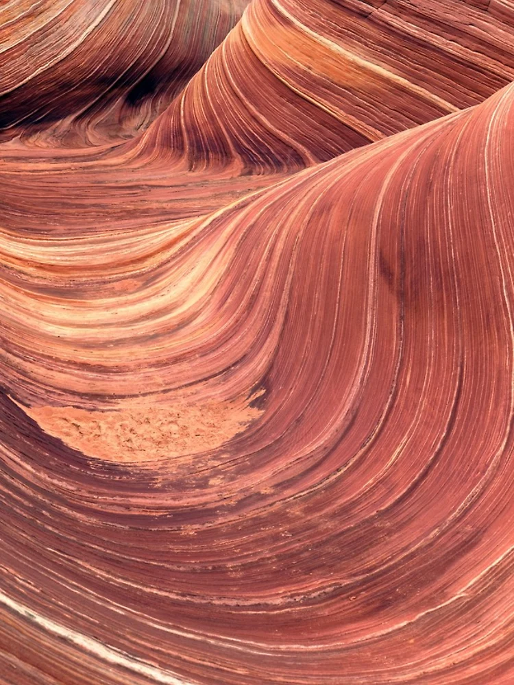 Thumbnail 4 of 4, iPhone Case, The Wave designed and sold by The Studio Red.