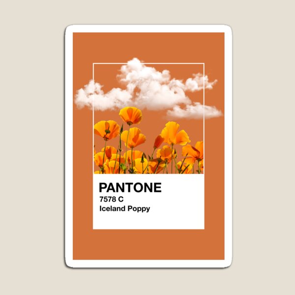 PANTONE® USA, PANTONE® 13-0858 TPX - Find a Pantone Color