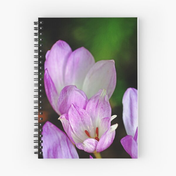 Item preview, Fall Crocus designed and sold by Debbie Oppermann.