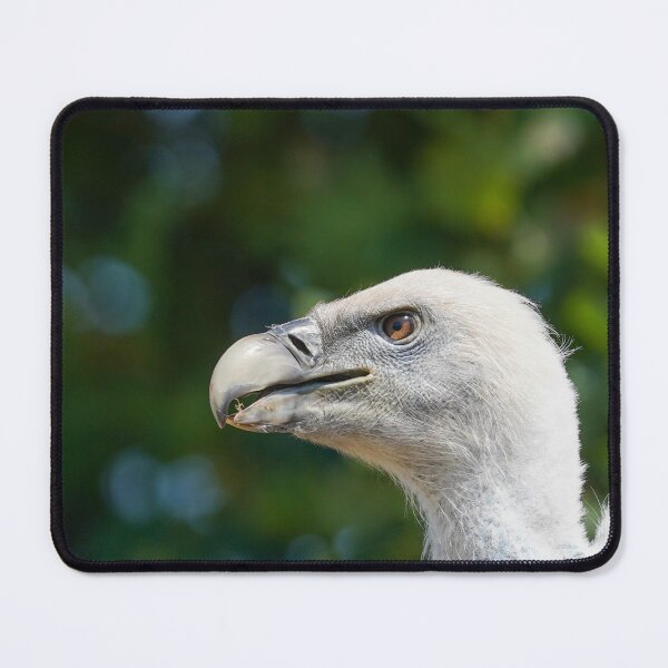 Item preview, A piercing gaze designed and sold by CPphotography33.