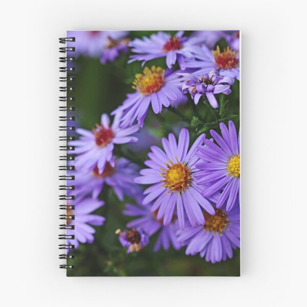 Item preview, Purple Autumn Asters designed and sold by Debbie Oppermann.