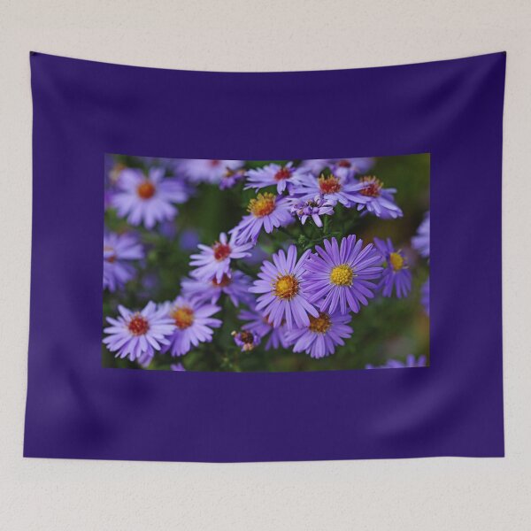 Item preview, Purple Autumn Asters designed and sold by Debbie Oppermann.