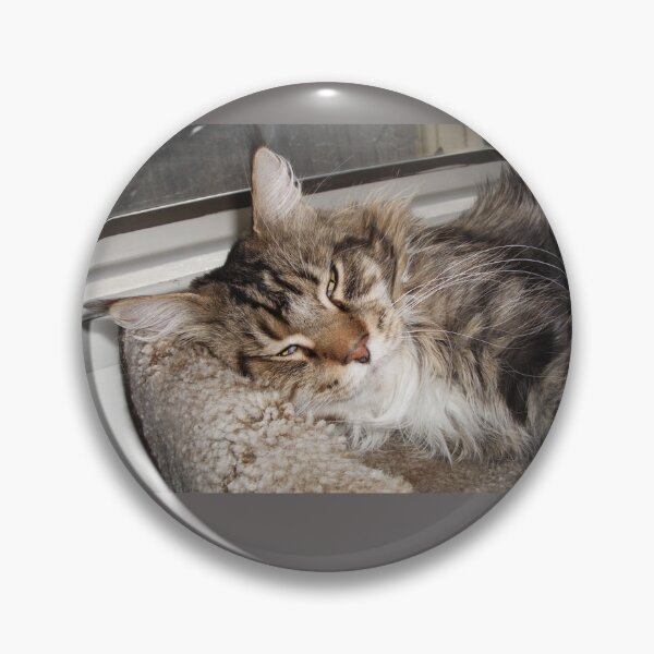 Artikelvorschau, Die Tabby-Maine-Coon-Katze denkt über ihr nächstes Abenteuer nach entworfen und verkauft von TechLaughs.