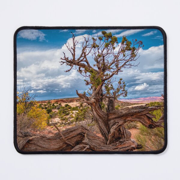 Item preview, Gnarled & Wizened designed and sold by Viv Thompson Photography .