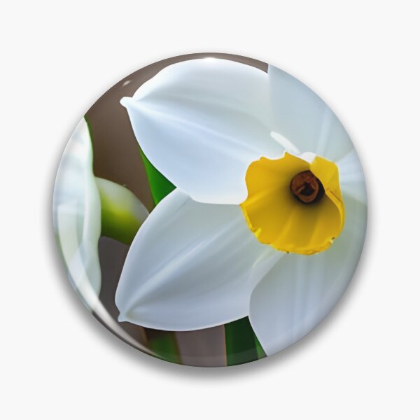 Artikelvorschau, Narziss Blumenbild entworfen und verkauft von brandway.