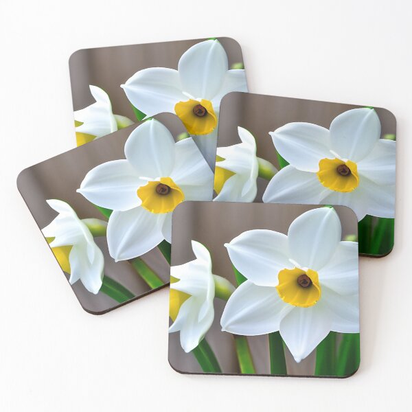 Item preview, Narcisius flower picture designed and sold by brandway.