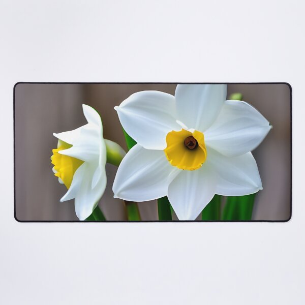 Item preview, Narcisius flower picture designed and sold by brandway.