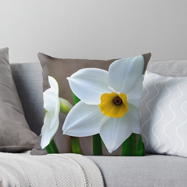 Item preview, Narcisius flower picture designed and sold by brandway.
