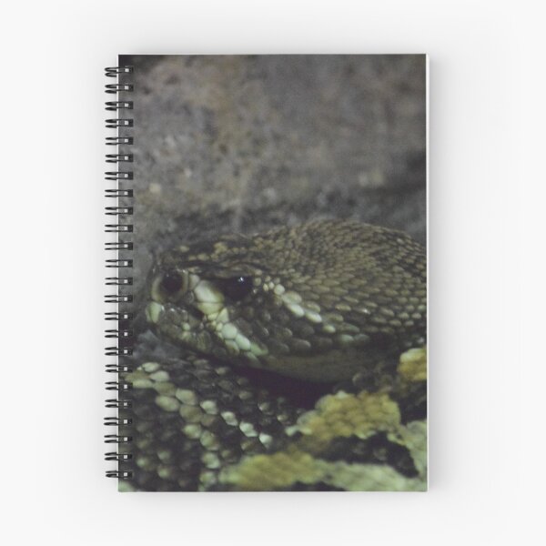 Item preview, Eastern Diamondback Rattlesnake designed and sold by MontanaWolves21.
