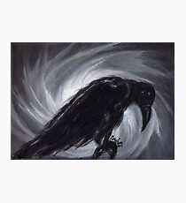 Dream the crow black dream. Photographic Print