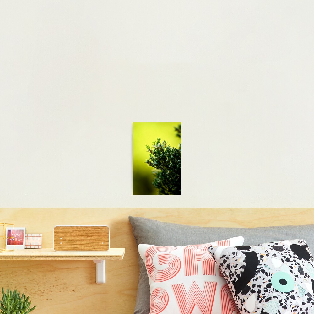Item preview, Photographic Print designed and sold by Tones.