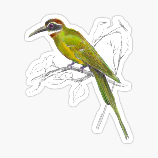 Bird print, Bird products, Bee eater watercolor, illustration, luxury gift art, Madagascar Sticker
