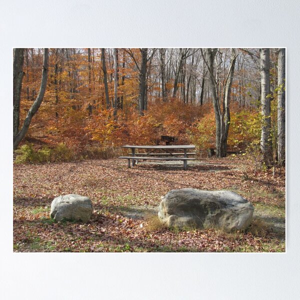 Item preview, Picnic in the fall designed and sold by NatureSplendor.