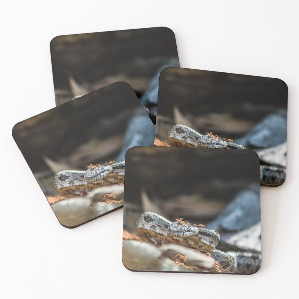 Item preview, cottonmouth designed and sold by KensLensDesigns.