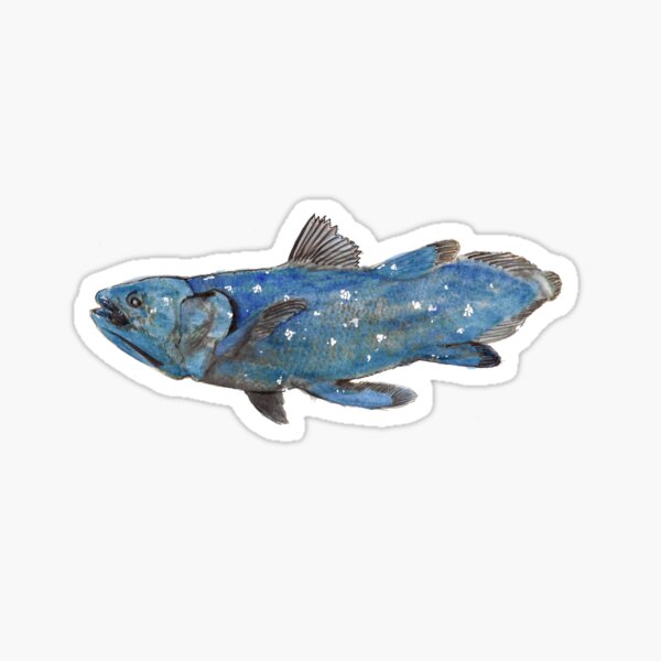 Fish Print, Fish Products, Coelacanth watercolor, illustration, luxury gift art, Madagascar Sticker