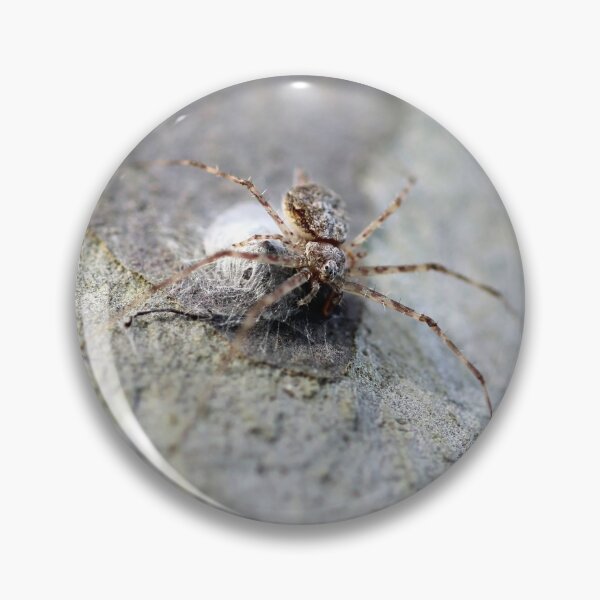 Item preview, spider designed and sold by Jodie Cooper.