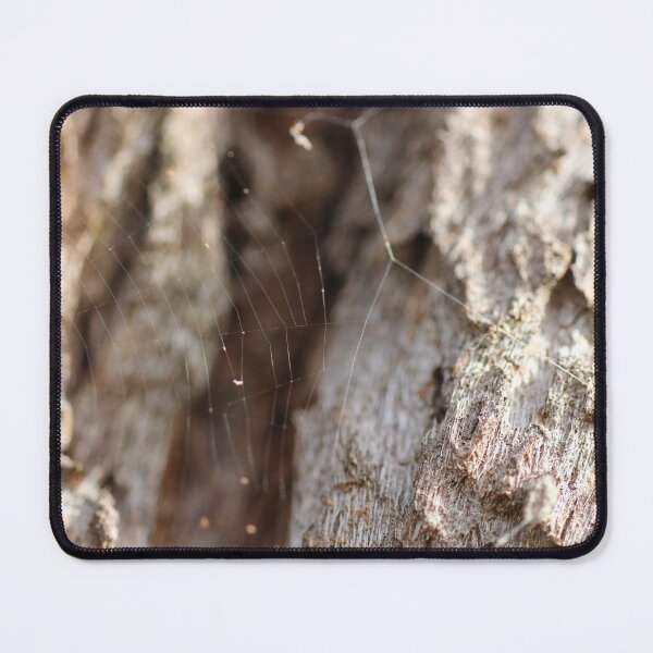 Item preview, spider web designed and sold by Jodie Cooper.